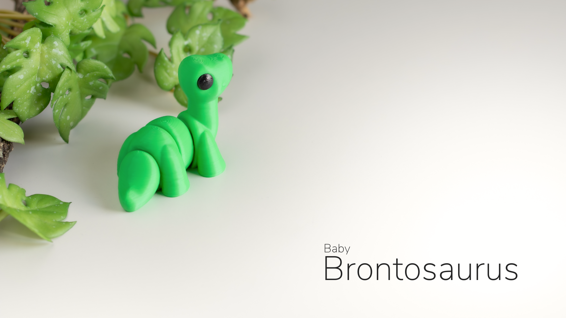 Baby Brontosaurus - Slika 2