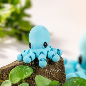 Baby Octopus Remake