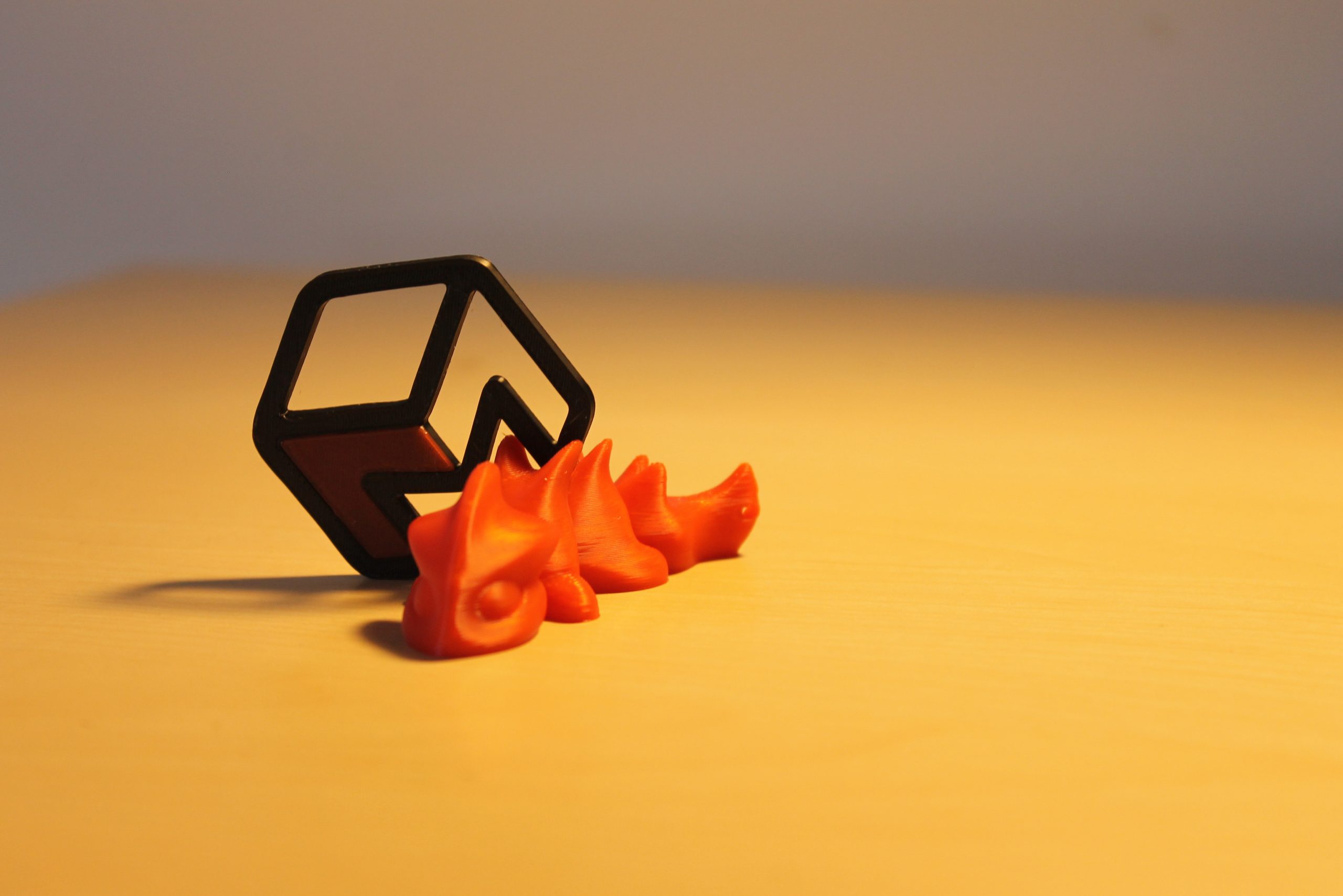 Privjesak s logom ili dizajnom