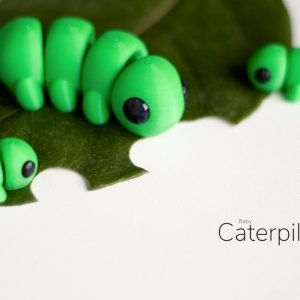 Baby Caterpillar