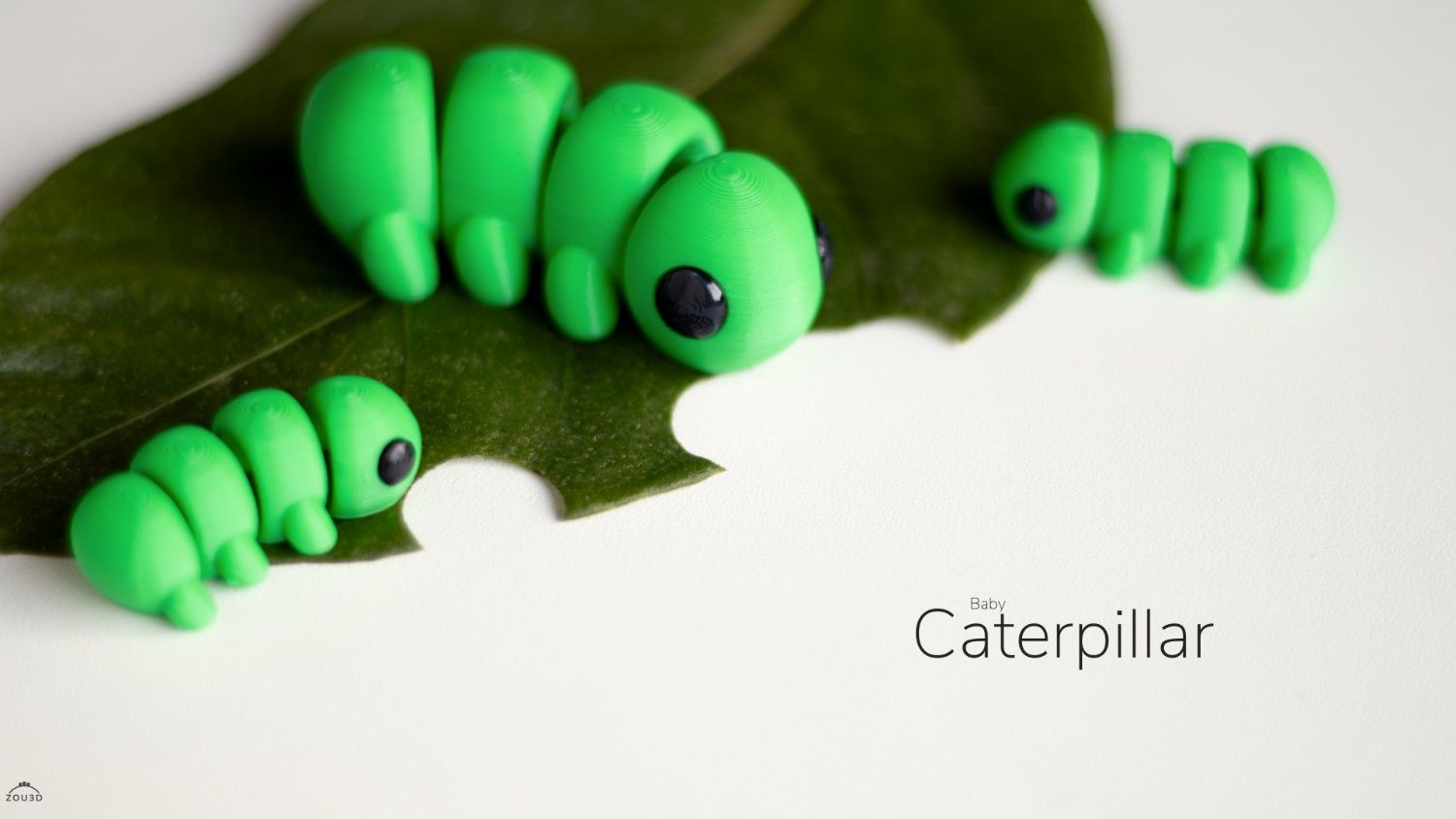 Baby Caterpillar