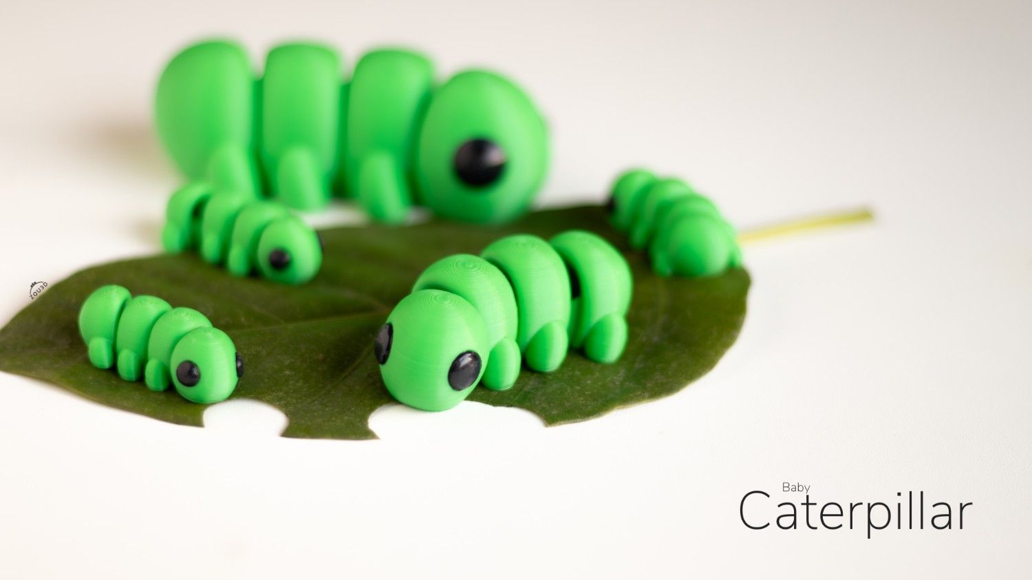 Baby Caterpillar - Slika 4